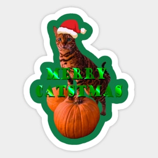 merry christmas with cat Sticker